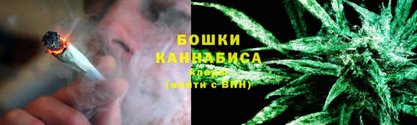 мяу мяу мука Иннополис